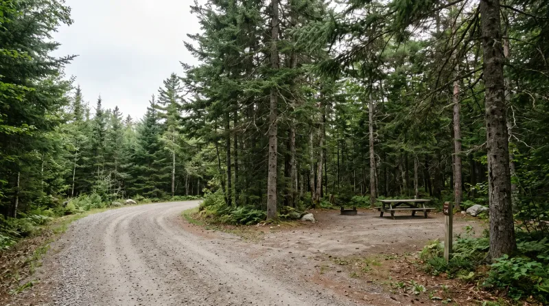 Maine landscape, backdrop for the RV Park Hubs Bar Harbor directory