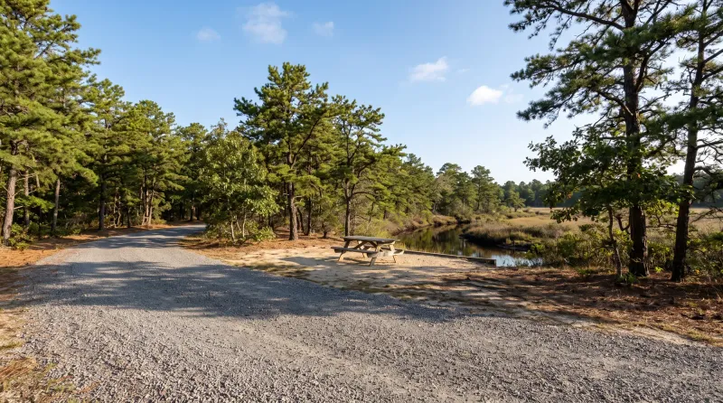 New Jersey landscape, backdrop for the RV Park Hubs Cape May directory